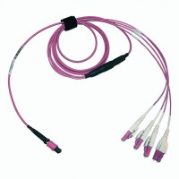 Erika Violet OM4 40G Harness (Fanout) Cable